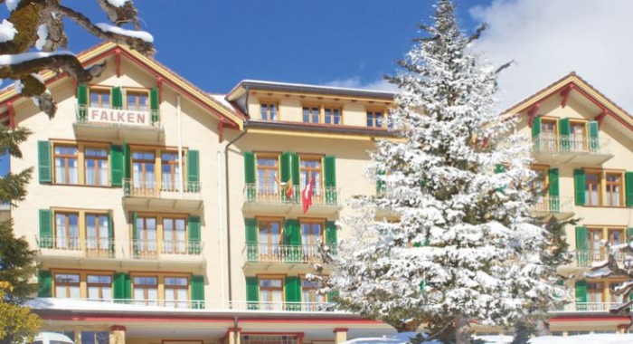Hotel Falken
